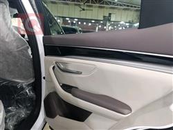 بي واي دي سونغ بلس